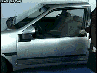 funny-gifs.gif