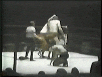 n5gN6E.gif