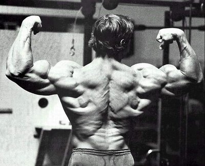 arnold03.jpg