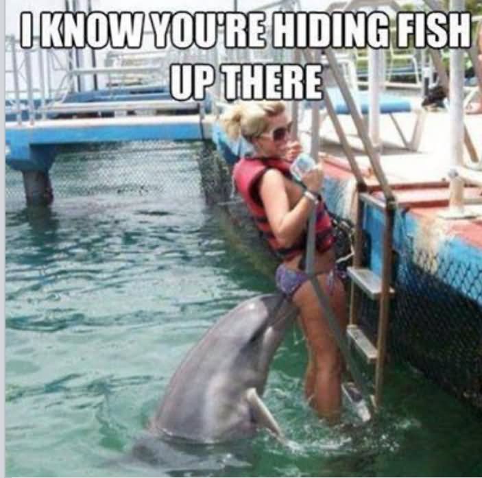 Dolphin-Fail-Funny-Meme-Picture.jpg