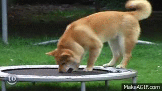 comment_NINlQZBerxtxssMS6RjfVOfoMM7boaNi.gif