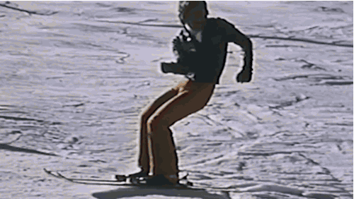 giphy.gif