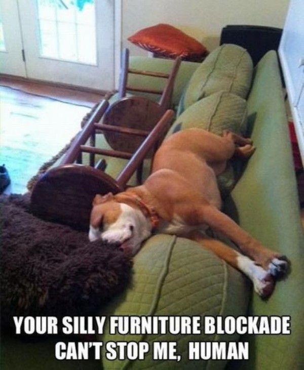 furniture-blockade.jpg