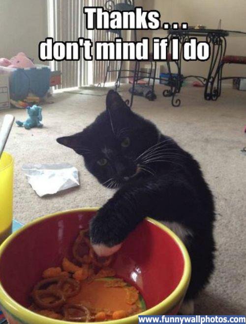 diont-mind-if-i-do.jpg