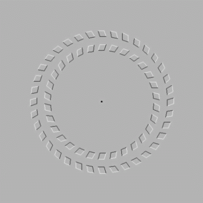 brainden.comimg2.gif