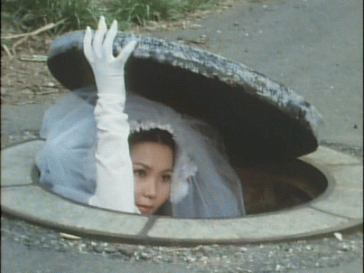 tumblr_ma7w4wmW2w1qzxzcso1_500.gif