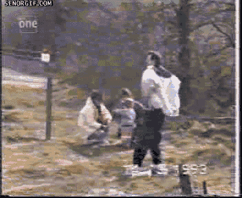 electric-fence.gif