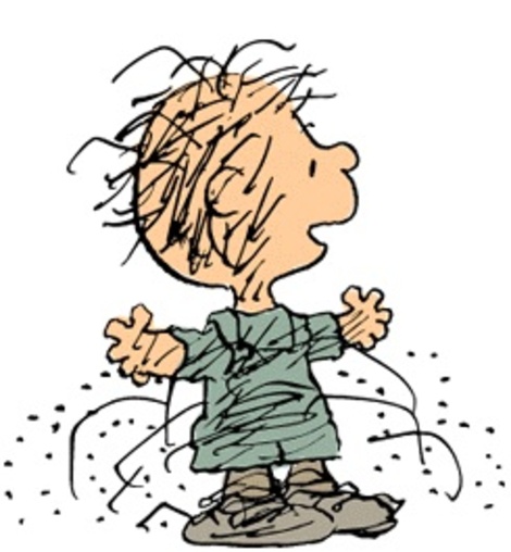 pigpen.jpg