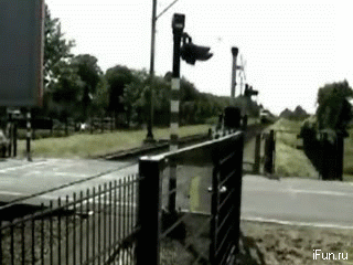 asiantown-gif-selection-12.gif