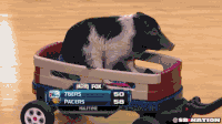 200w.gif