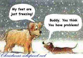 snow.dog.jpg