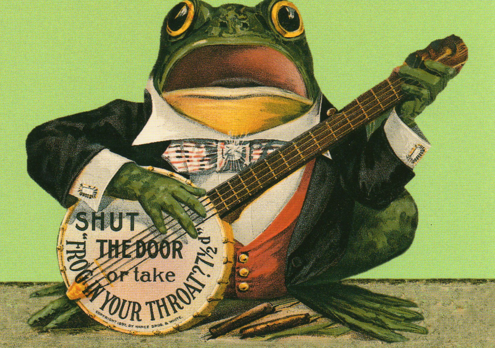 Banjoplayingfrog.jpg