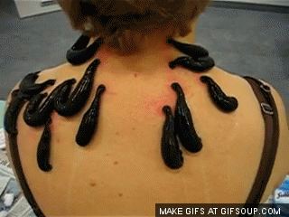 leech-o.gif