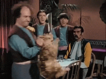 y36VY4.gif