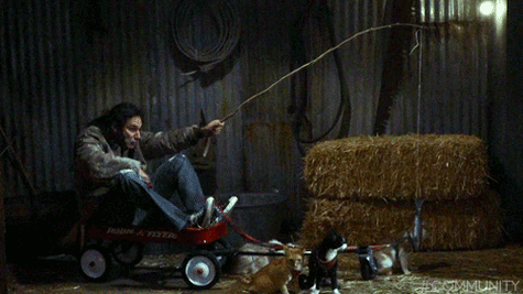 tumblr_mz5sbkvIzF1rd1qi0o1_500.gif
