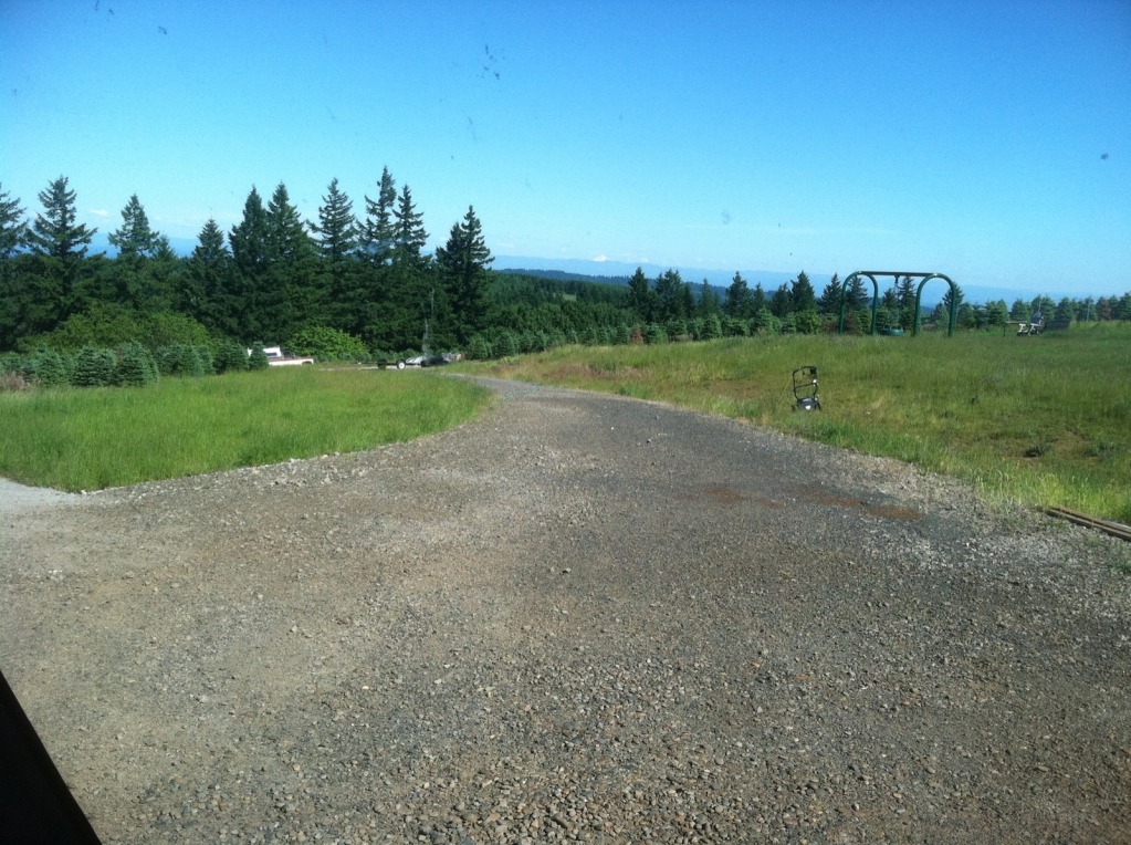 clearday3.jpg