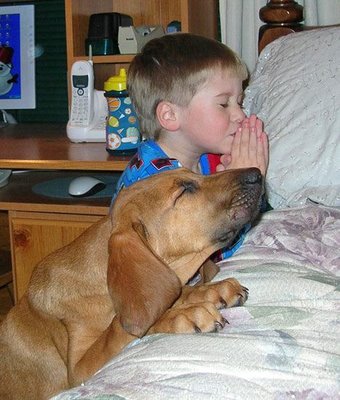 little-2Bboy-2Band-2BPraying-2BDog.jpg