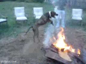 W7eMVZl.gif