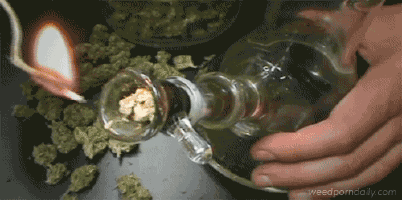 200.gif