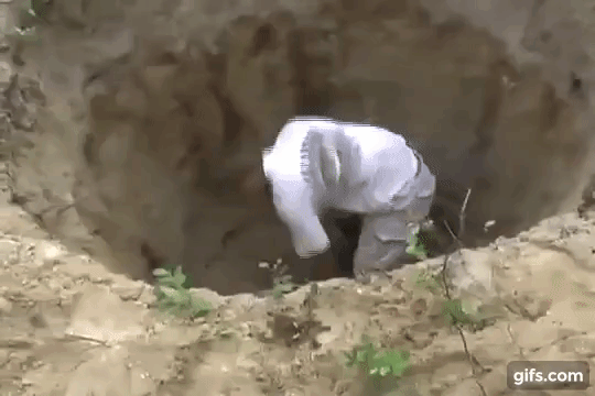 Q0WBXL.gif