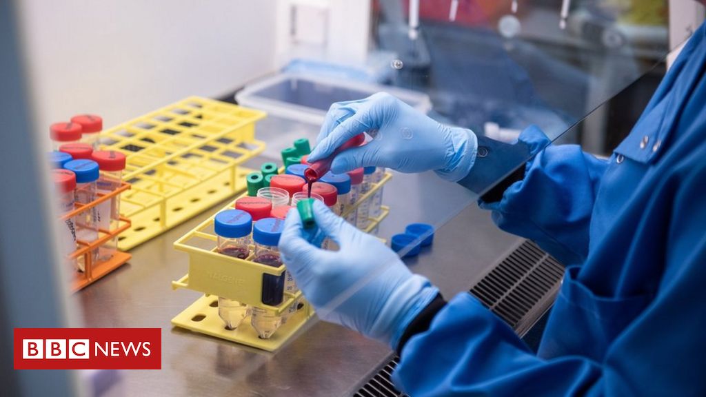 www.bbc.com