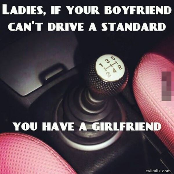 Ladies6111.jpg
