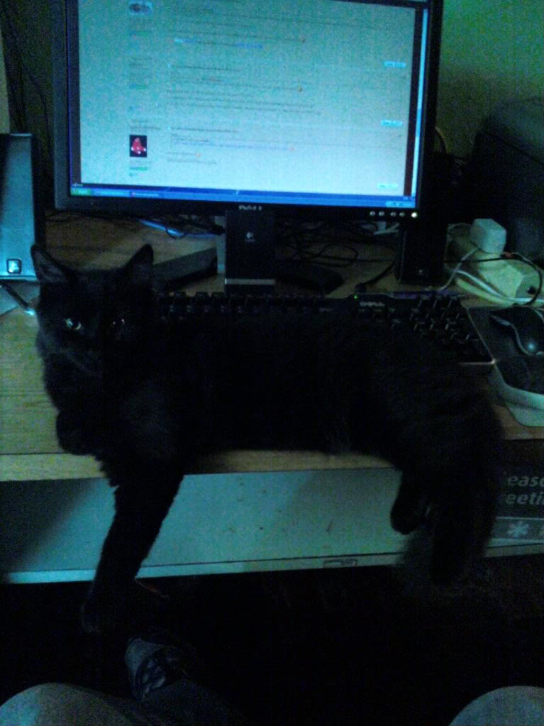 0719090848.jpg