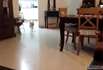 1ed2b22196ed24539502d3df6a7ba057.gif