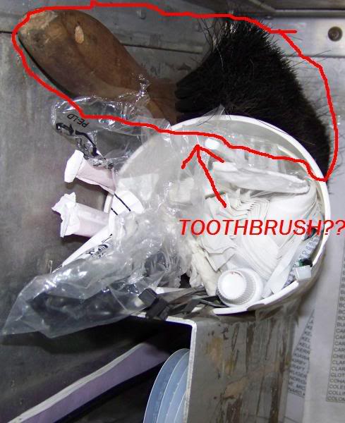 stevetoothbrush.jpg