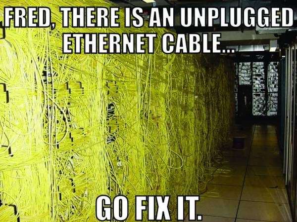 resized_PJncp2.jpg