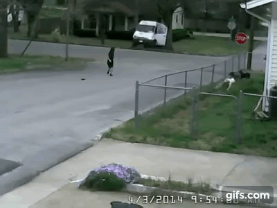 3lZZvO.gif