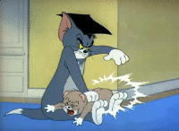 200w.gif