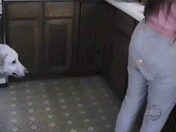3.gif