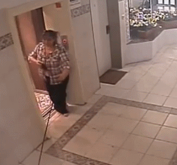 funny-gifs-All-these-wasted-eggs.gif