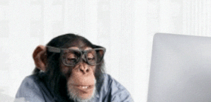 200_s.gif
