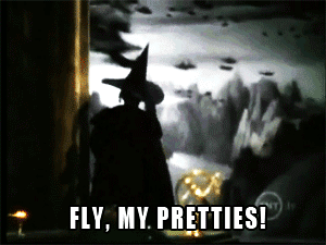 eM9tpp8.gif