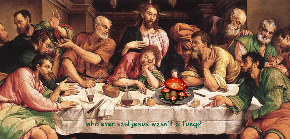 did_jesus_eat_mushrooms_by_sex4me.jpg