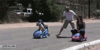 dog-girl-race.gif