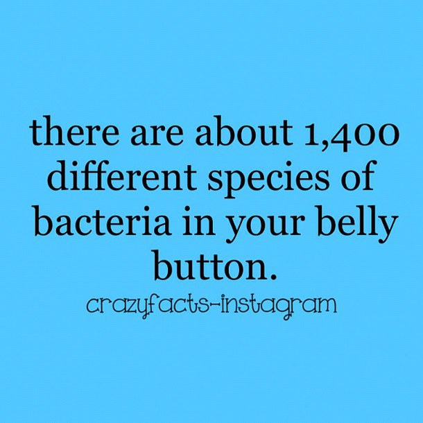 Favim.com-belly-button-blue-crazy-facts-fun-facts-646713.jpg