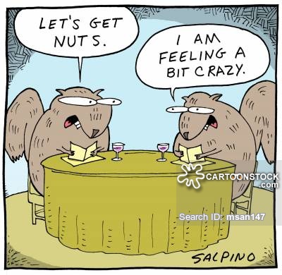animals-menu-nut-food_order-squirrel-eating_out-msan147_low.jpg