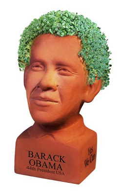 obama_chia_pet.jpg