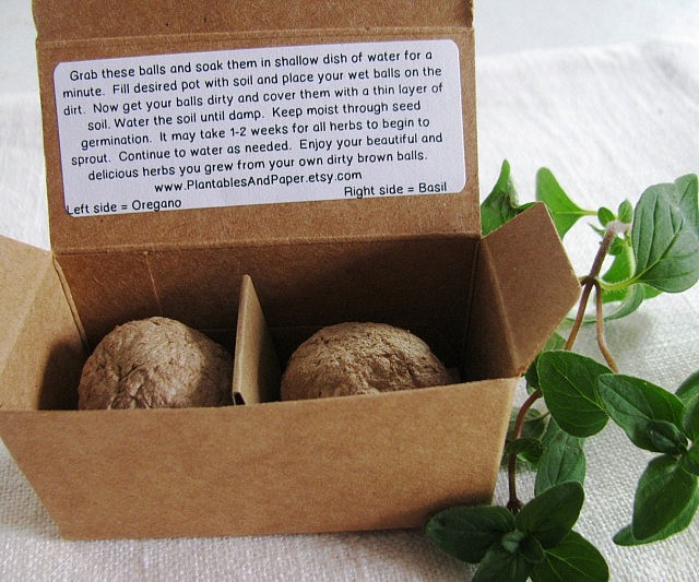 grow-a-pair-640x533.jpg