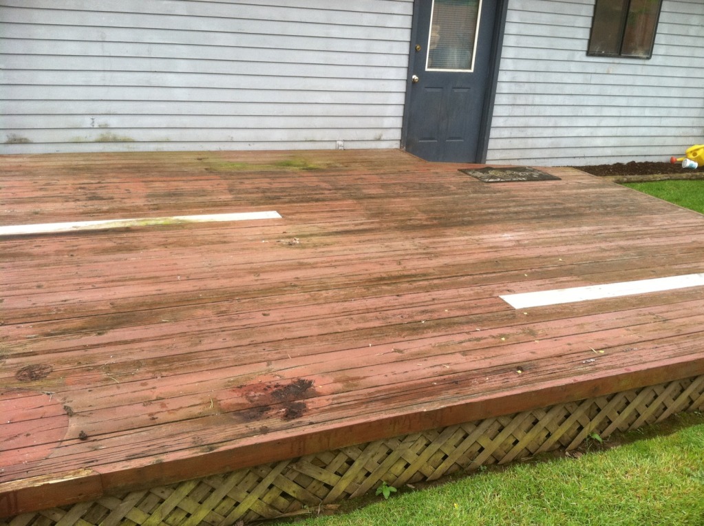 deck1.jpg