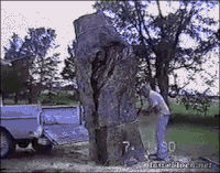 200w.gif