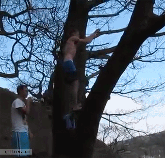 1368120730_rope_swing_fail.gif