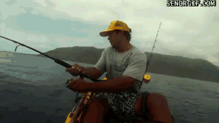 kayak-fisherman-shark-attack-shark-gifs.gif