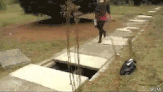 giphy.gif