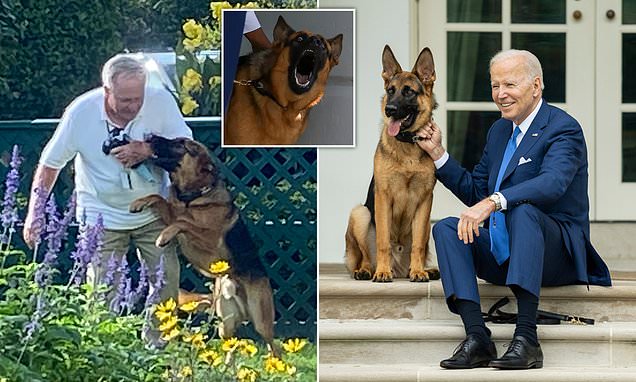 www.dailymail.co.uk