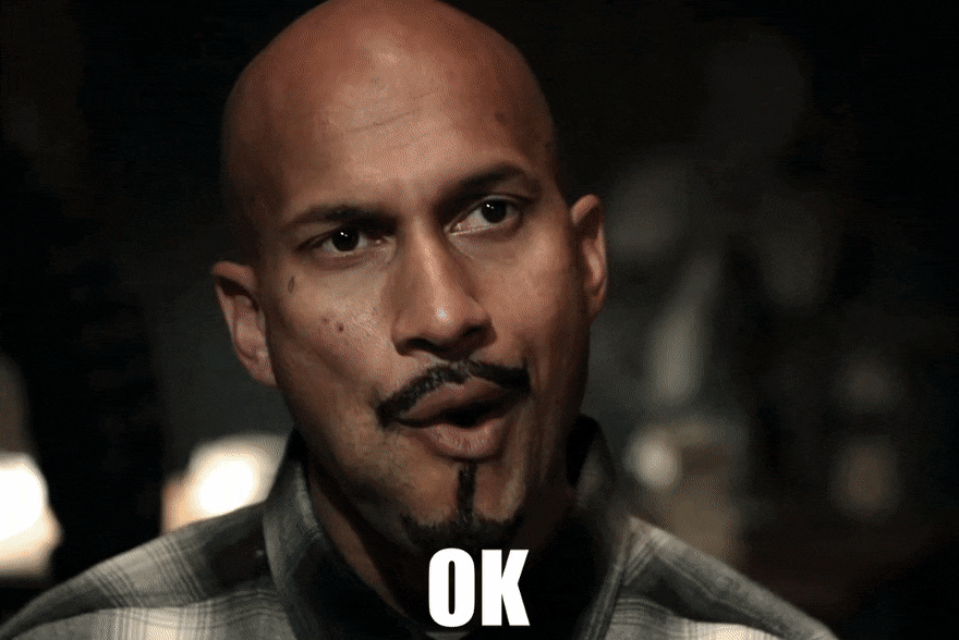 SpanishImmediateKestrel-size_restricted.gif