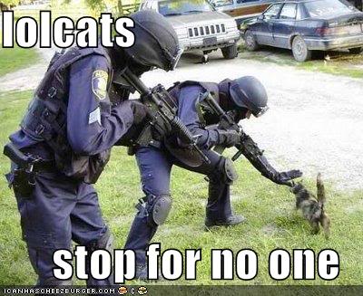 funny-pictures-cat-will-not-stop-fo.jpg